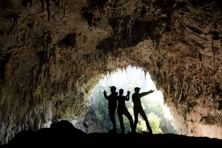 Intern In Brazilian Atlantic Forest