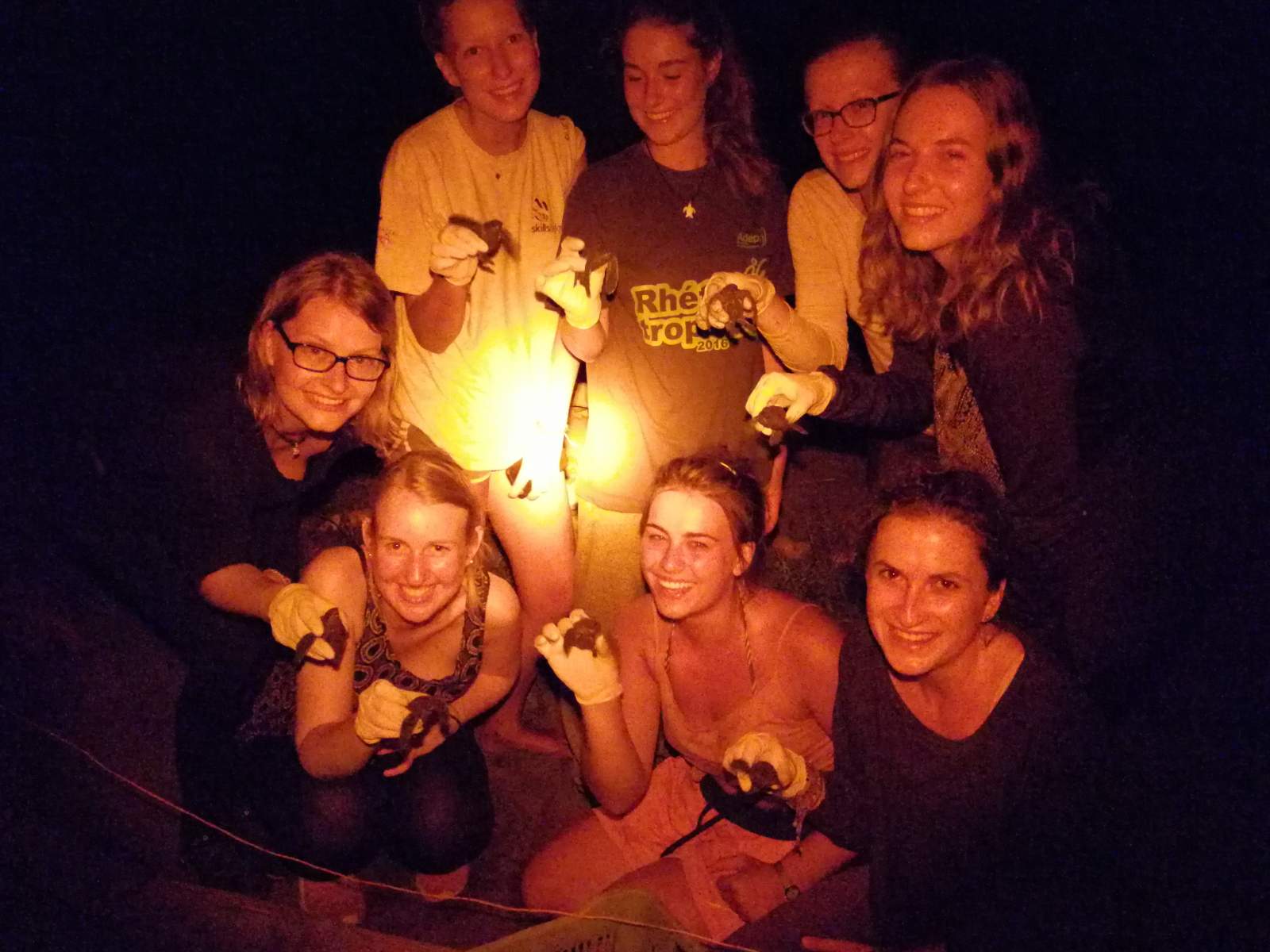 Sea Turtles Conservation