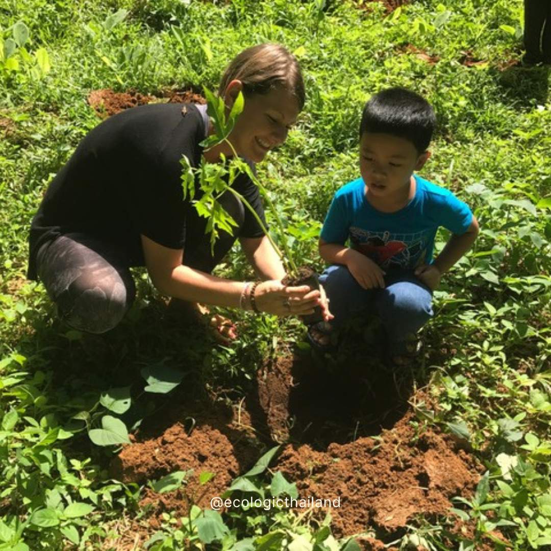 Join our Tree Planting Week | 9–16 August