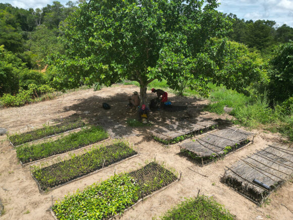 IMPACT Madagascar