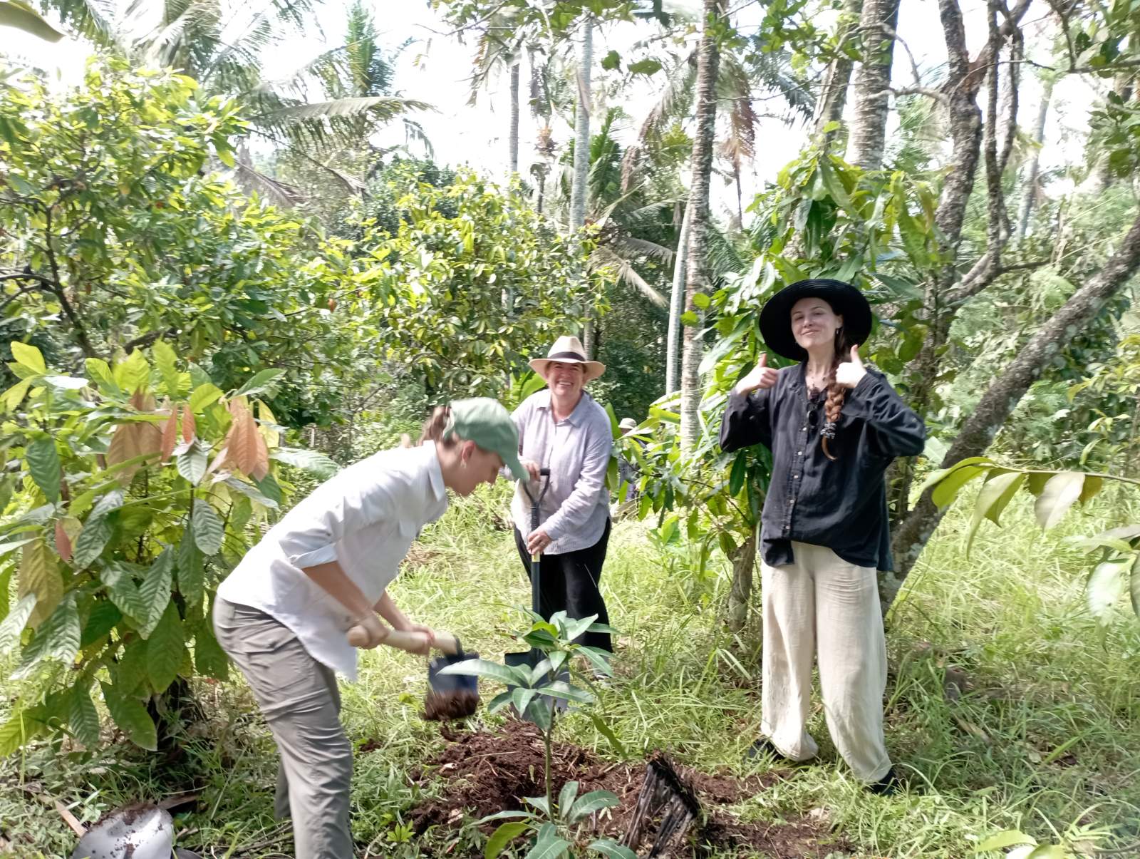 Tri Hita Karana Bali