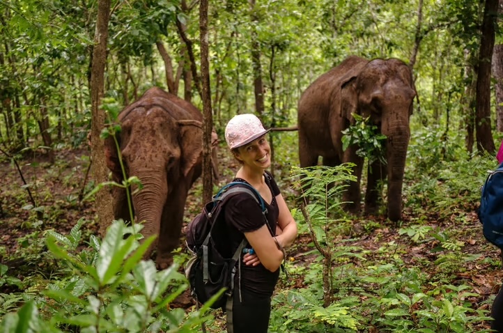 Kindred Spirit Elephant Foundation