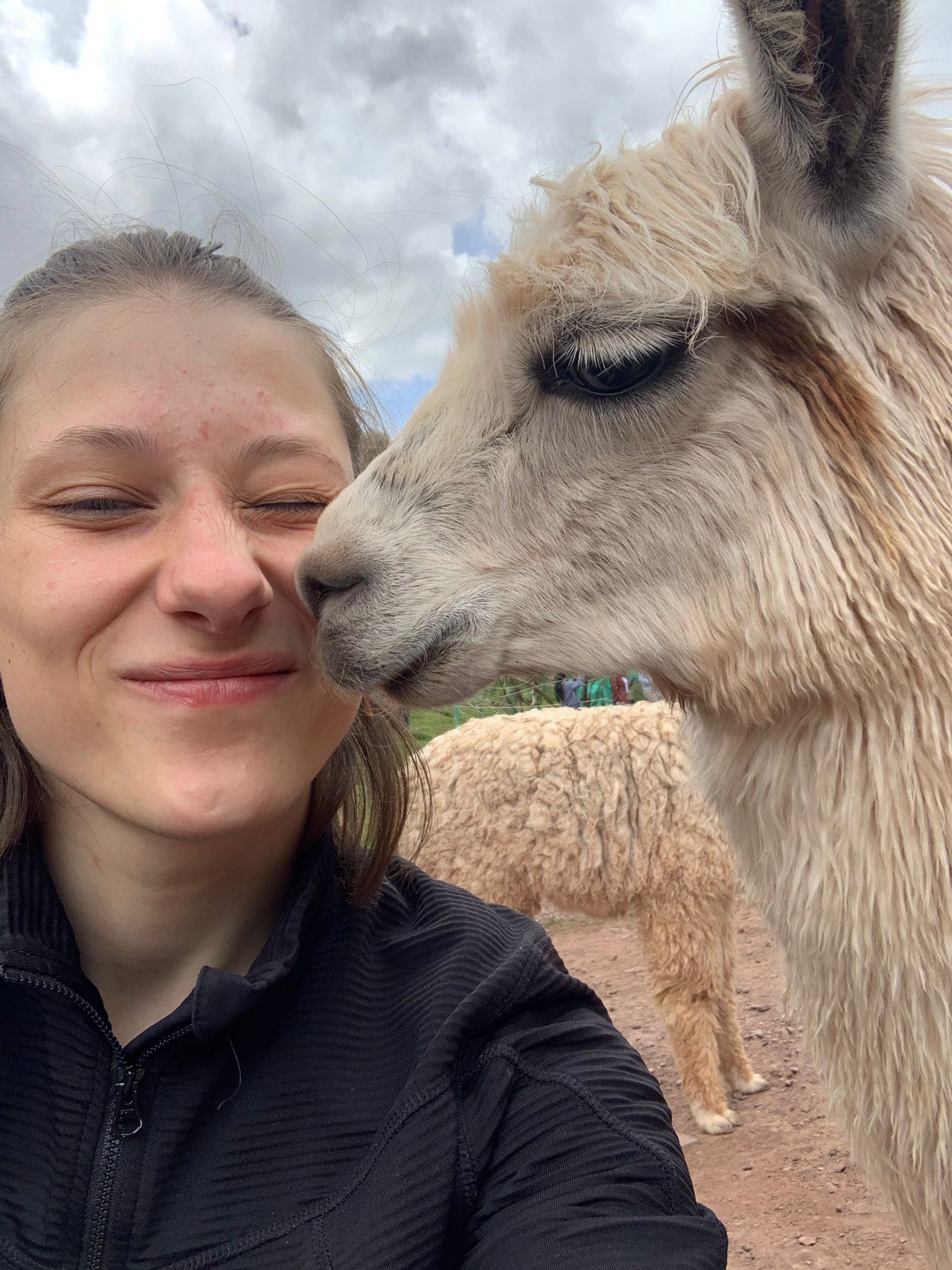 Wildlife Rescue Centre