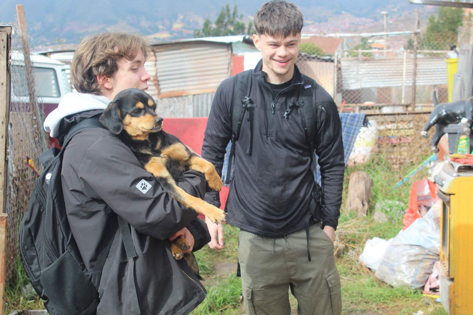 Dog Shelter