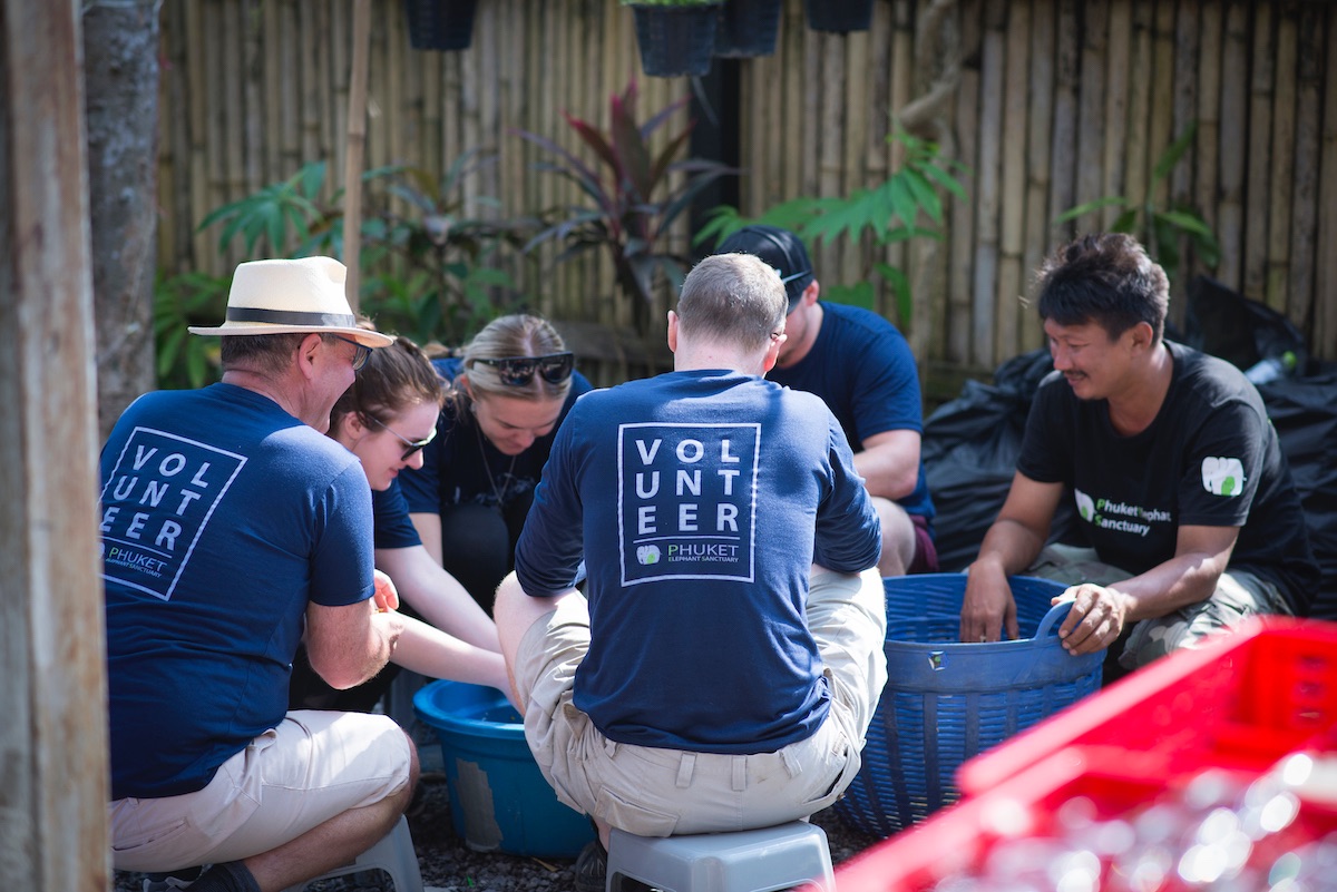 Volunteer at Phuket Elephant Sanctuary